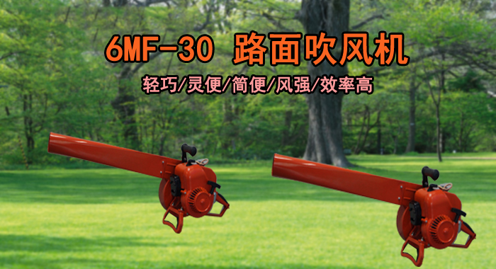 手提吹风机，6MF-30汽油吹风机(图1)