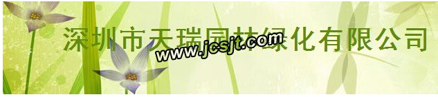 深圳天瑞园林绿化公司与我司长期合作(图1)